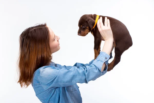 赤女の子とともに子犬 — ストック写真