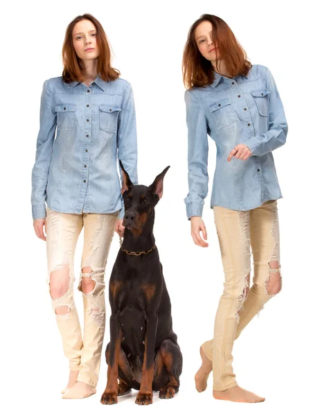 Chica roja en jeans con perro grande —  Fotos de Stock