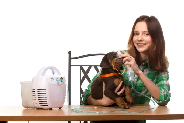 Veterinário e cachorro com inalador com inalador — Fotografia de Stock