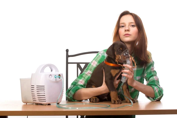 Veterinário e cachorro com inalador com inalador — Fotografia de Stock