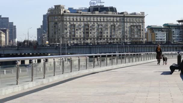 Mujer con un perro paseando por el paseo marítimo de la ciudad — Vídeos de Stock