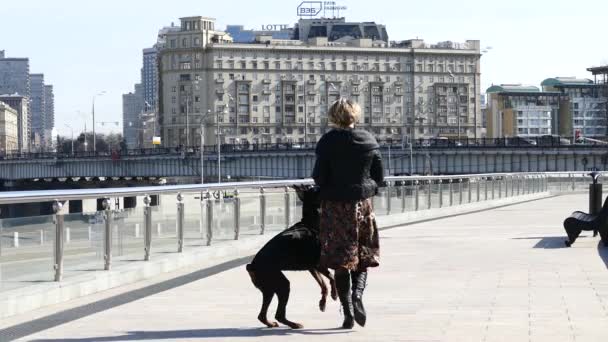 Γυναίκα με σκύλο περπατώντας στον παραλιακό δρόμο της πόλης — Αρχείο Βίντεο