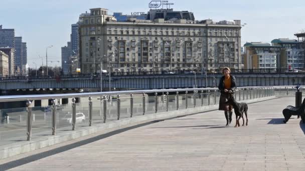 Žena se psem chodit na promenádě ve městě — Stock video