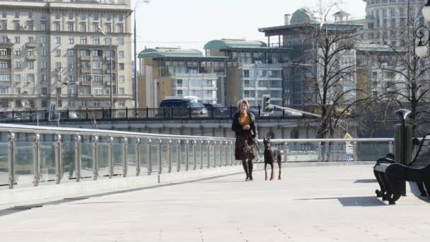 Mujer con un perro paseando por el paseo marítimo de la ciudad — Vídeos de Stock