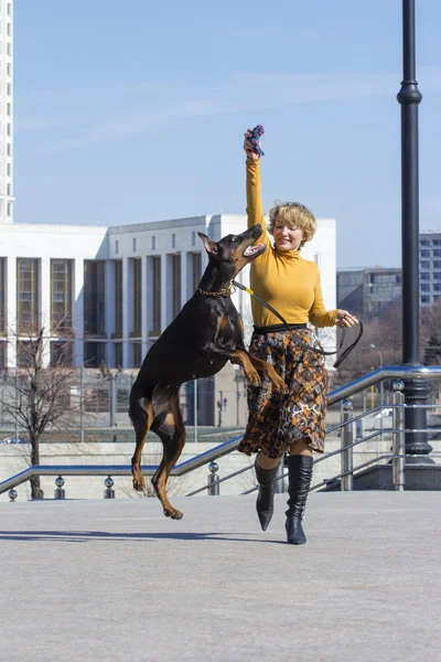 Ganska vuxen kvinna med hund utomhus — Stockfoto