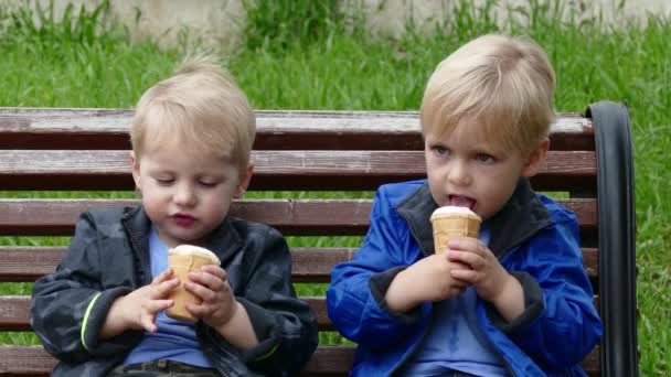 Jumeaux avec crème glacée dans le parc — Video