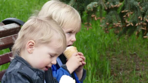 Dvojčata se zmrzlinou v parku — Stock video