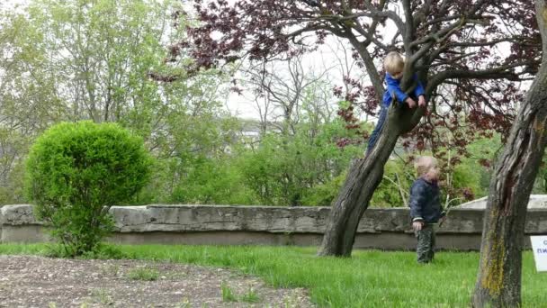 Twins playing in garden. Tree climbing. — Stock Video