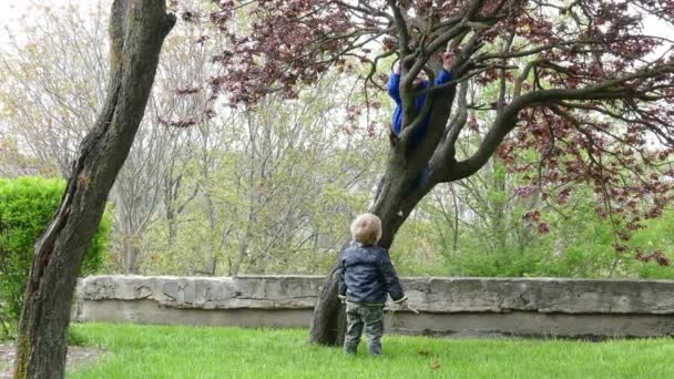 Zwillinge spielen im Garten. Baumklettern. — Stockvideo