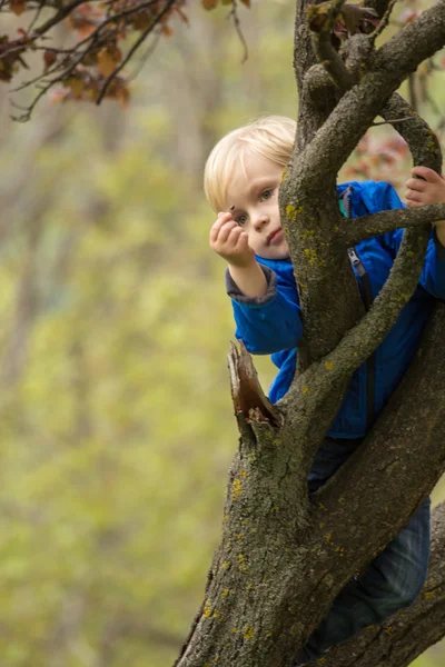 Fiatal fiú átölelve egy fa ága — Stock Fotó
