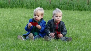 İkizler bir iştahla yemek belgili tanımlık muamele etmek çimlere oturup beyaz şeker