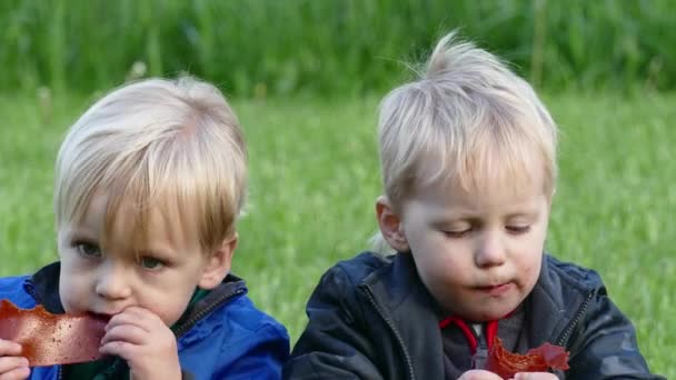 Близнюки з апетитом їдять цукерки кавказькі сидять на траві — стокове відео