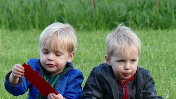 Twins with an appetite eating the treat candy caucasian sitting on the grass — Stock Video