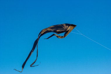 Siyah uçurtma gökyüzünde