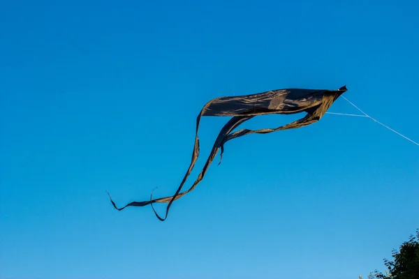 Cerf-volant noir dans le ciel — Photo
