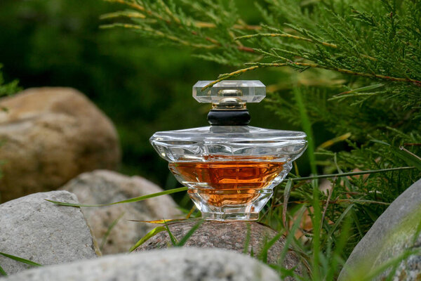 Бутылка духов на траве
