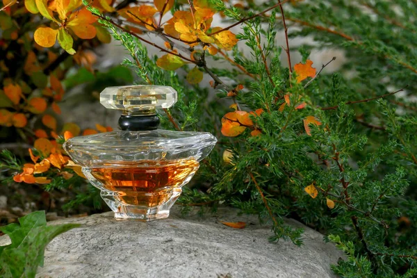 Parfumflesje op het gras — Stockfoto