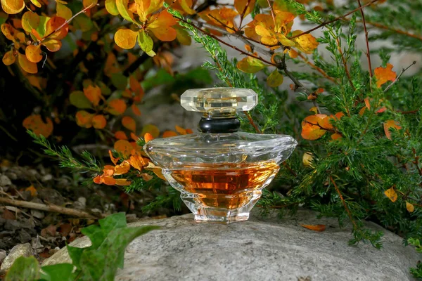 Frasco de perfume na grama — Fotografia de Stock