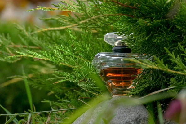 草上的香水瓶 — 图库照片