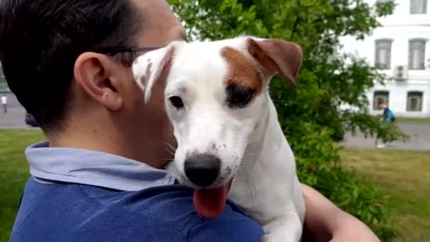 El terrier blanco se sienta en el hombro — Vídeos de Stock