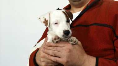 Turuncu kazaklı bir adam kucağında bir köpek yavrusu tutuyor..