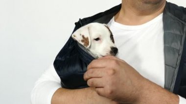 Mavi yelekli bir adam kucağında bir köpek yavrusu tutuyor..