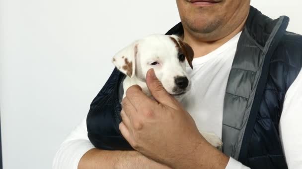身穿蓝色背心的男人抱着一只小狗. — 图库视频影像