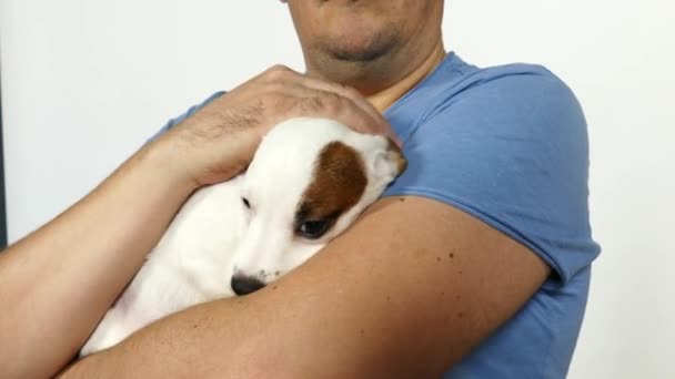 Hombre con una camiseta azul sostiene a un cachorro en sus brazos. — Vídeo de stock