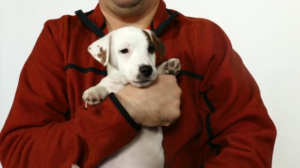 Man in in an orange sweater holds a puppy in his arms. — Stock Video