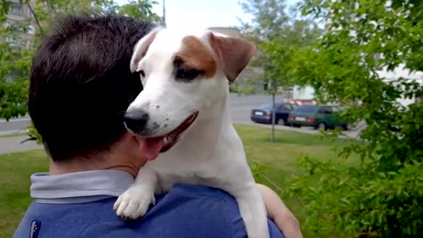 Hombre en el parque con cachorro — Vídeos de Stock