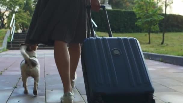 Dziewczyna spacerująca po parku z małym psem i walizką — Wideo stockowe