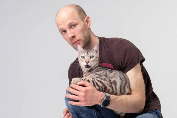 Agressieve kat beschermt de eigenaar terwijl hij op schoot zit — Stockfoto