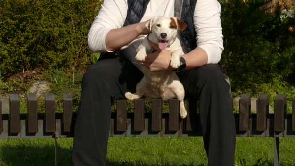 Cachorro blanco descansando al aire libre — Vídeo de stock