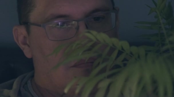 Мужчина смотрит фильм ужасов, обнимающийся с домашним цветком — стоковое видео