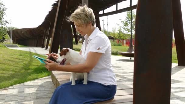 Liten hund kräver uppmärksamhet av ägaren, som arbetar på en tablett — Stockvideo