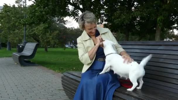 Donna che dà da mangiare a un cane incinta nel parco su una panchina — Video Stock