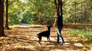 Park 'ta Köpekle Oynayan Kadın