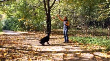 Park 'ta Köpekle Oynayan Kadın