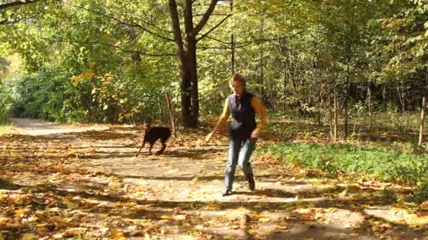 Mulher brincando com cão no parque — Vídeo de Stock