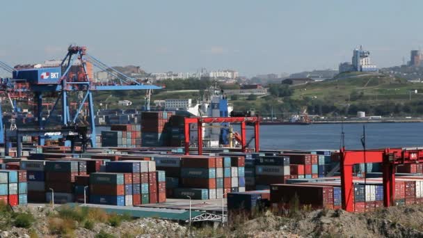 Vladivostok ticaret ve liman — Stok video