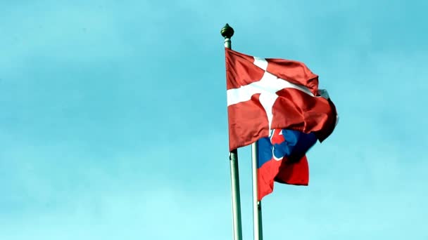 斯洛伐克共和国和丹麦的国旗 — 图库视频影像