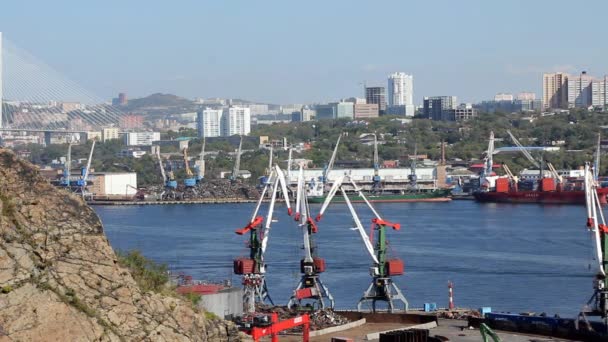 Vladivostok ticaret ve liman — Stok video