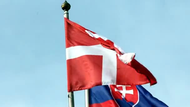 Flaggor av Slovakiska republiken och Danmark — Stockvideo