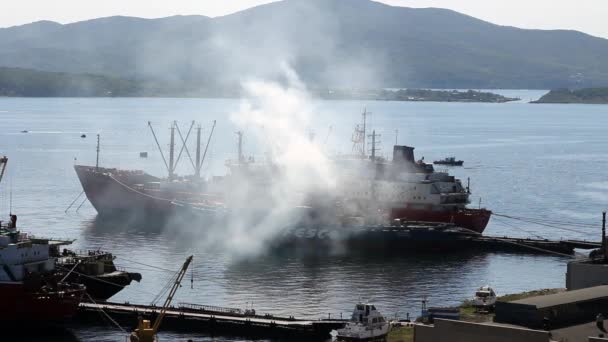 Vladivostok içinde gemi — Stok video