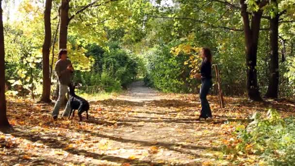 Femme et homme jouant avec le chien 