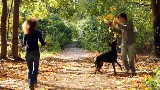 Donna e uomo giocare con il cane — Video Stock