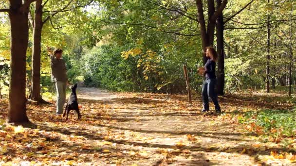 Vrouw en man spelen met hond — Stockvideo