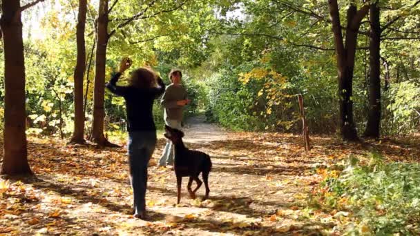 Kadın ve erkek köpekle oynamayı — Stok video