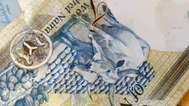 Nijeryalı banknotlar döndürme