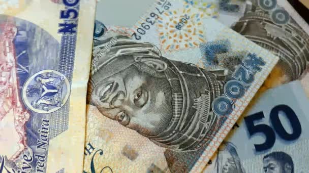 Rotation der nigerianischen Banknoten — Stockvideo